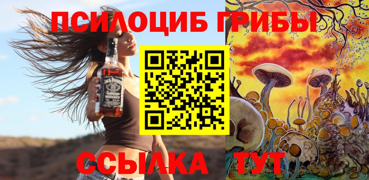 купить наркотик  Псилоцибиновые грибы мухоморы  Вход с VPN  Касимов  Псилоцибиновые грибы Magic Shrooms 